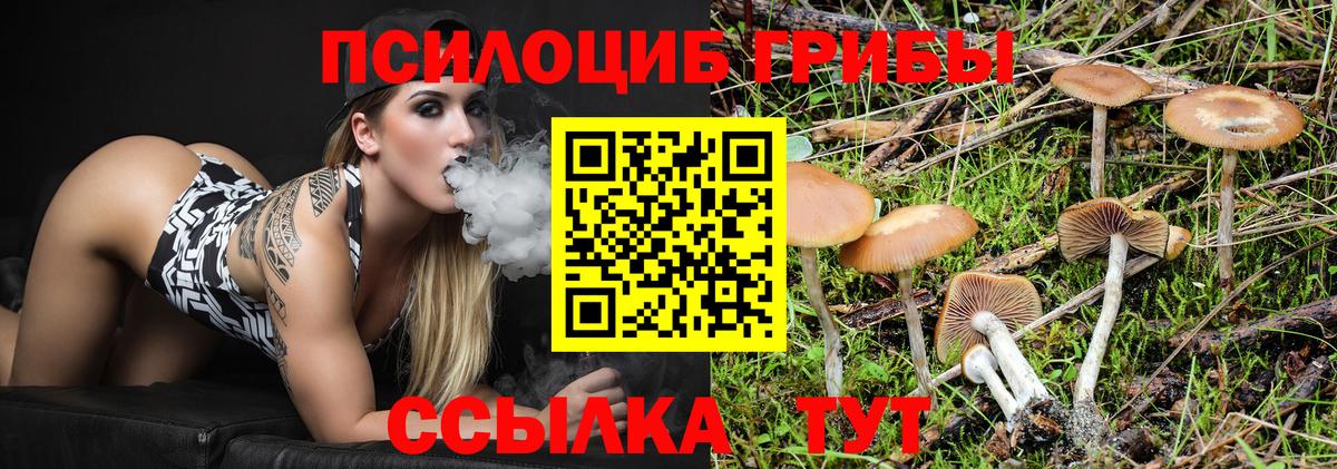 Псилоцибиновые грибы GOLDEN TEACHER Нефтекамск