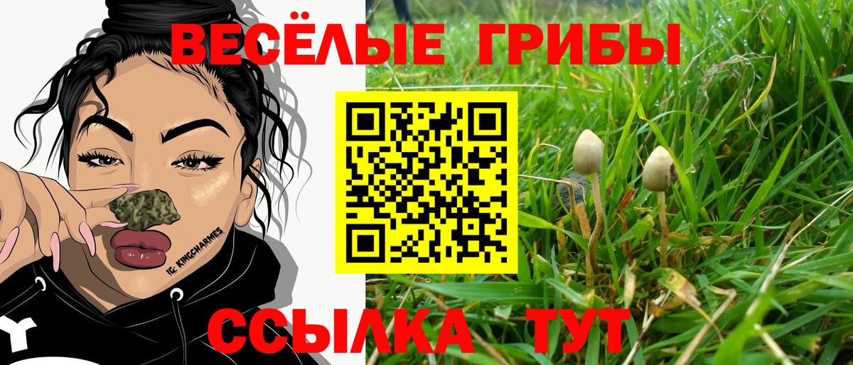 Нефтекамск  Кокаин  А ПВП СОЛЬ кристаллы  Кодеин  Экстази  Вход с VPN  Бошки Шишки  Мефедрон кристаллы 